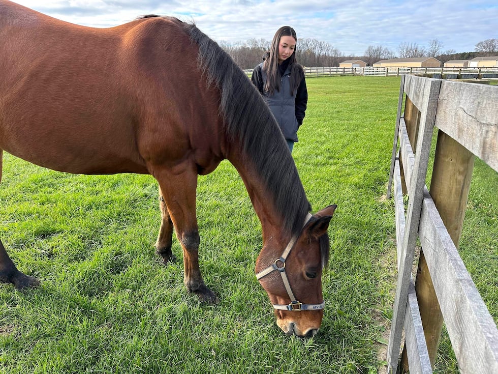 Kylie Ossege watches as her horse, Blaze, grazes in a field at a boarding facility Saturday,...